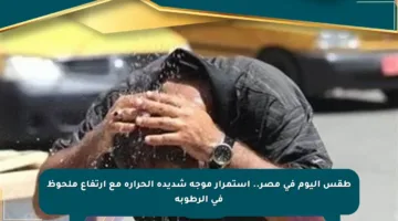 طقس اليوم في مصر.. استمرار موجة شديدة الحرارة مع ارتفاع ملحوظ في الرطوبة